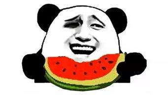 吃瓜吃到自己头上免费,一场意外的“瓜”界奇遇